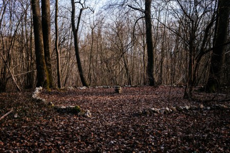 des DRUIDES dans le VAL d'OISE .......